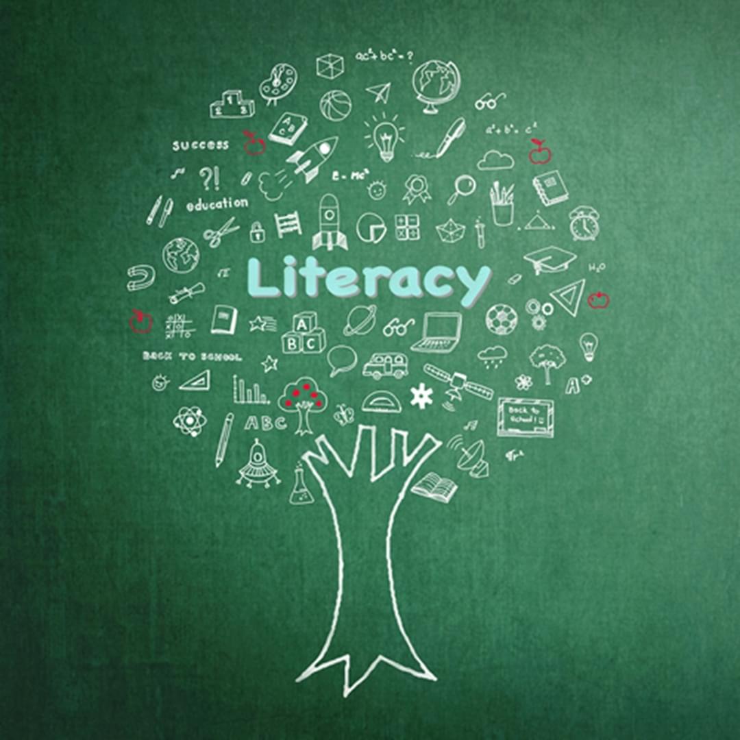 Improving Literacy In Schools